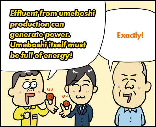 Effluent from umeboshi production can generate power. Umeboshi itself must be full of energy! Exactly!