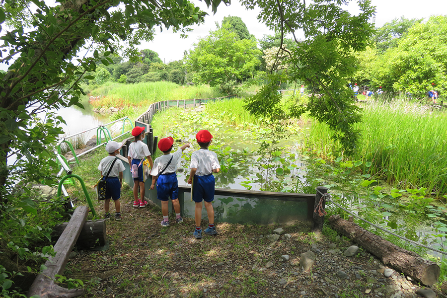 ビオトープ内の湿地を観察する子どもたち