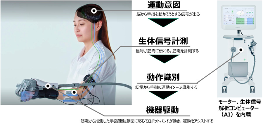 運動意図 脳から手指を動かそうとする信号が出る → 生体信号計測 信号が筋肉に伝わる。筋電を計測する → 動作識別 筋電から手指の運動イメージ識別する → 機器駆動 筋電から推測した手指運動意図に応じてロボットハンドが動き、運動をアシストする モーター、生体信号解析コンピューター（AI）を内蔵