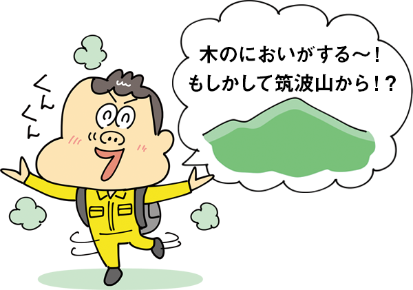 木のにおいがする～！ もしかして筑波山から！？