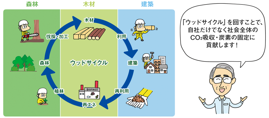 「ウッドサイクル」を回すことで、自社だけでなく社会全体のCO2吸収・炭素の固定に貢献します！