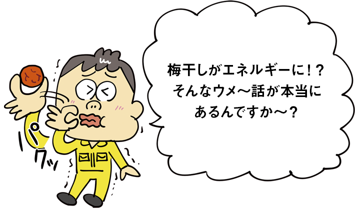 梅干しがエネルギーに？！そんなウメ～話が本当にあるんですか～？