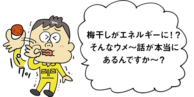 梅干しがエネルギーに？！そんなウメ～話が本当にあるんですか～？