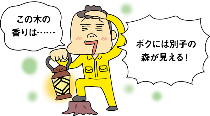 この木の香りは… ボクには別子の森が見える!