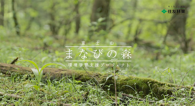 動画を再生する