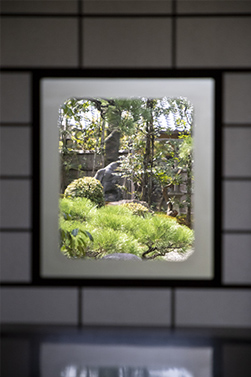 Garden viewed through the glass panel in the shoji sliding door.