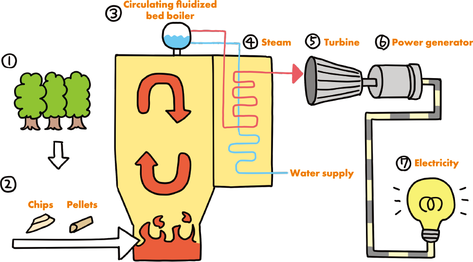 Biomass power generation system