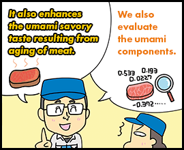 It also enhances the umami savory taste resulting from aging of meat. We also evaluate the umami components.