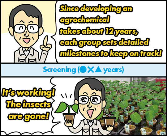 “Since developing an agrochemical takes about 12 years, each group sets detailed milestones to keep on track!” Screening (●×▲ years) “It’s working! The insects are gone!”
