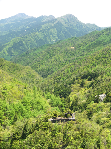 蘭塔場