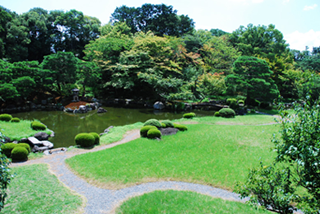 芝生の中