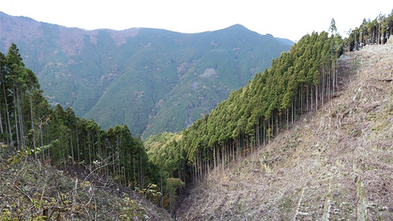 いのちの森の場所はこちら！