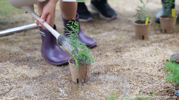会期中の植林体験の様子