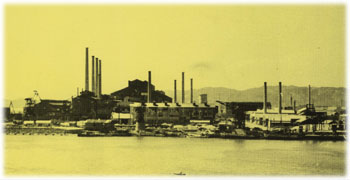 和歌山製鉄所の全景