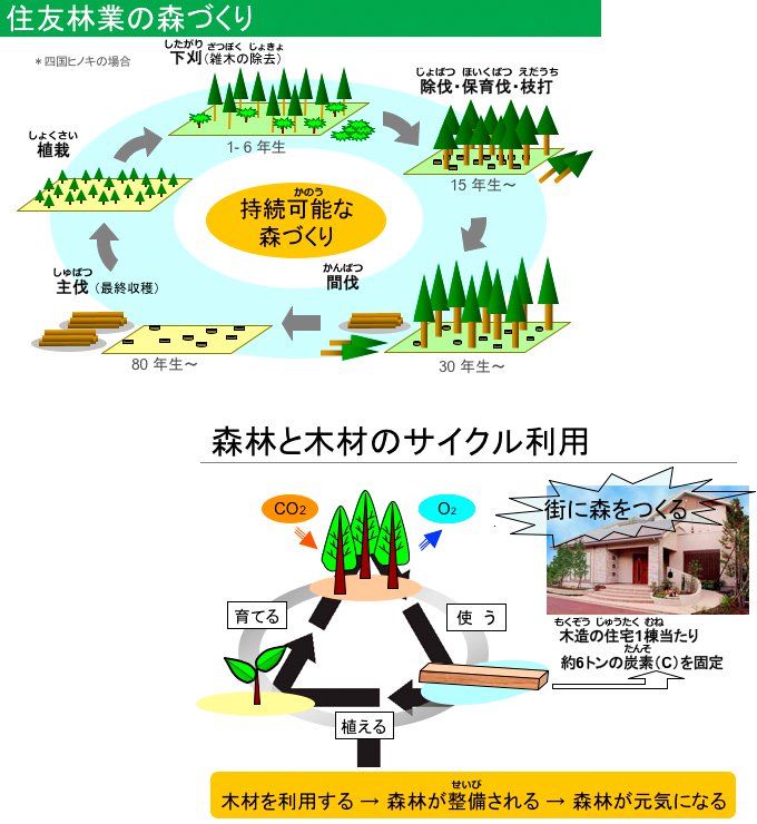 住友林業の森づくり