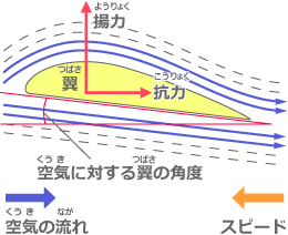 飛行機が飛ぶために必要なのはエンジンと翼（つばさ）